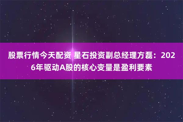 股票行情今天配资 星石投资副总经理方磊：2026年驱动A股的核心变量是盈利要素