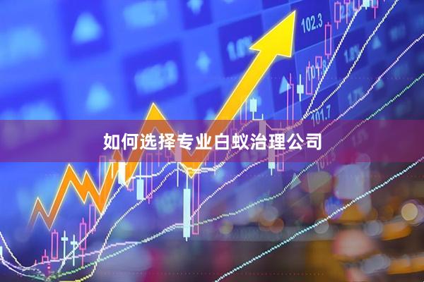 如何选择专业白蚁治理公司